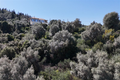 Meganisi LandwLicense3Houses03.jpg